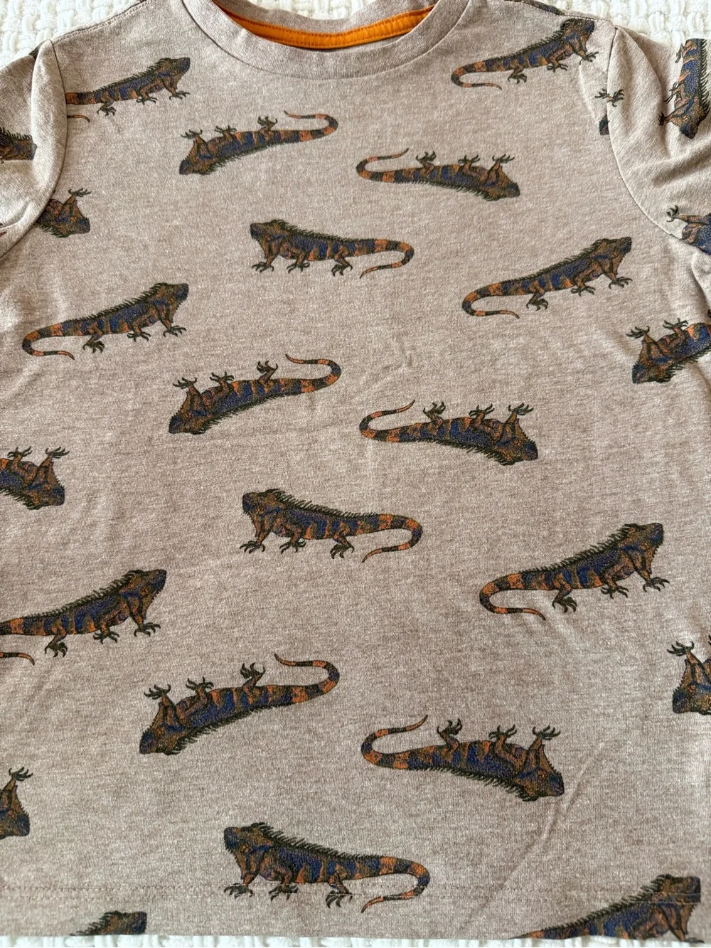 Old Navy Brown Short Sleeve Tee with Iguana Print